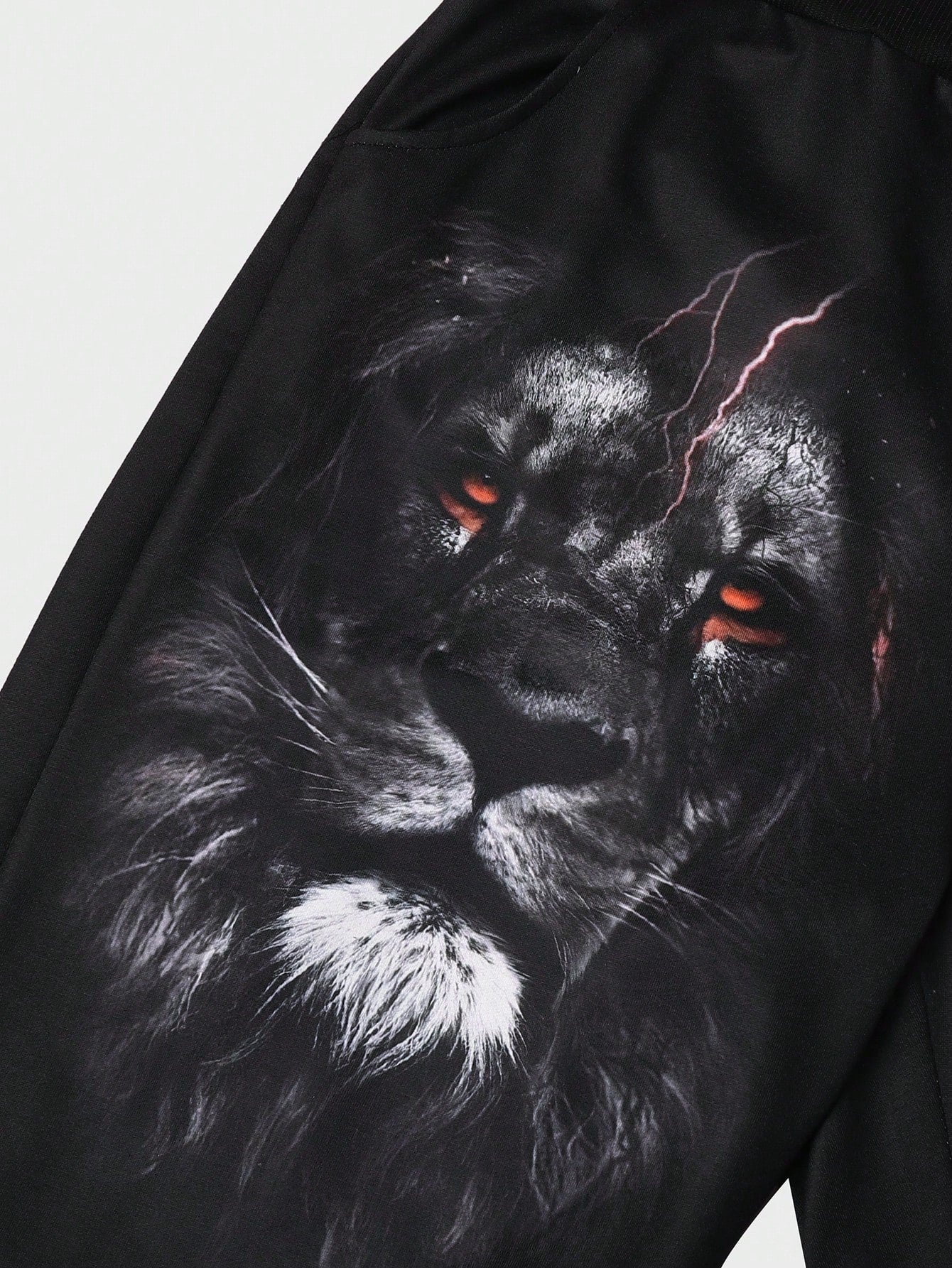 Conjunto Masculino Moletom Estampa Leão The King Estilo Street Conjunto Masculino Moletom Estampa Leão The King Estilo